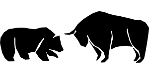 bear vs bull market